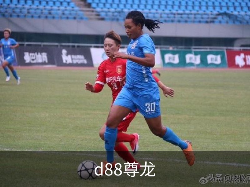 d88尊龙概况